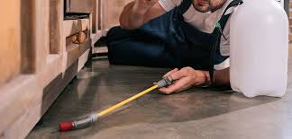At impressive carpet cleaning we believe the cleanliness of your home cannot be substituted with anything else and must be closely watched if you and your oftentimes, we neglect even the simplest exercises we need to carry out in our homes such as carpet cleaning, pest management, tile and. Tips And Hints Archives All Corners Carpet Cleaning Pest Control