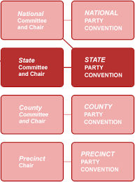 American Politics Party Organization In The United States