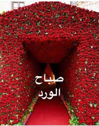 تبحث عن احلى الورود فالمحلات حتي تهديها الى. ØµØ¨Ø§Ø­ Ø§Ù„ÙˆØ±Ø¯ ÙˆØ§Ù„ÙŠØ§Ø³Ù…ÙŠÙ† Ø¹Ù„Ù‰ Ø§Ù„Ø¬Ù…ÙŠØ¹ Samsung Members