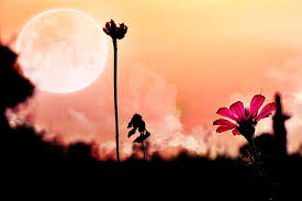 Before the 12th century, in the meaning defined above. Super Pink Moon To Shine In The Sky On April 7 This Is When You Can Watch It In India Times Of India Travel