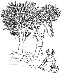 Midisegni It Disegni Da Colorare Per Bambini Disegni Da Colorare Per Bambini Disegni Di Uccelli Disegni Da Colorare