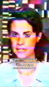 NuevoTiroalamontada®🇦🇷🇮🇱's Video