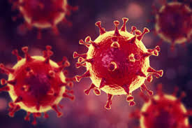Coronaviruses are a group of related rna viruses that cause diseases in mammals and birds. Corona Virus Stadt Koln