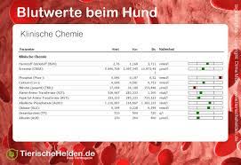 Unsere inhalte dienen der patienten information und erwachsenbildung. Blutwerte Beim Hund Referenzwerte Tierischehelden