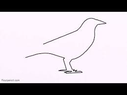 Pencil Easy Bird Drawing For Kids How To Draw A Raven Or Crow Youtube Easy Drawings Easy Drawings For Kids Crows Drawing