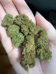 Jan 08, 2011 · posts discussing or advocating pot substitutes, cbd, or any remedies other than mutual support and the sharing of our experience. Wedding Cake From Hemphop Loving My First Bowl Of Cbd Weed Feeling Relaxed And My Aches Are Gone Cbd