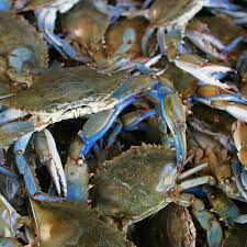 What S The Difference Between Shrimp And Prawns Blue Crab Blue Crab Recipes Crab