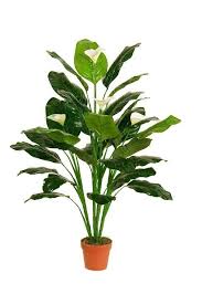Decorative Artificial Tropical Spathe Peace Lily Floor Plant In Pot Peace Lily Plant Plants Floor Plants