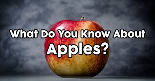 Whether you have a science buff or a harry potter fanatic, look no further than this list of trivia questions and answers for kids of all ages that will be fun for little minds to ponder. Can You Answer These 12 Questions About Embroidery Quizpug