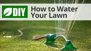 Lawn fertilizer usually needs to be watered in. Diy Lawn Care Calendar Maintenance Schedule For Cool Season Grasses