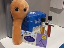 C Diff Was A Hit At The American Society Of Microbiology Conference Over The Weekend Giantmicrobes Cdiff Ha Giant Microbes Learning Tools Weekend Is Over