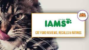 We hope that this iams vs blue buffalo cat food comparison article has supplied you with the necessary. Iams Cat Kitten Food Coupons Review Recalls 2021