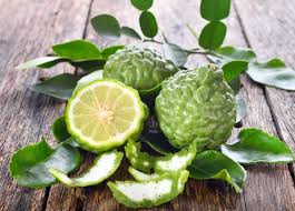 Check spelling or type a new query. Bergamote 000136 Firmenich Perfumer Supply House