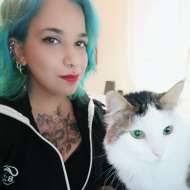 Kediler Icin Evde Kedi Nanesi Yetistirme Dogala Dogru Kendine Don Www Dogaladogru Com