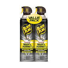 Black Flag Foaming Wasp And Hornet Killer Twin Pack At Tractor Supply Co