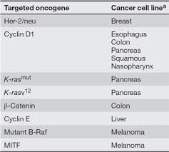 Image Result For Proto Oncogene Examples Cancer Cell Cancer Cell Lines Cell Line
