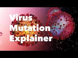 Rna viruses have high mutation rates that allow especially fast evolution. Why Do Virus Mutations Worry Scientists Youtube