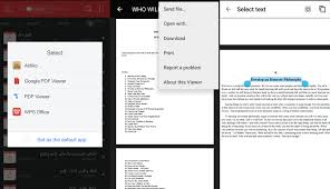 It will scan all the pdf files from your storage and then will display it to you in the screen. Download Google Pdf Viewer Latest Version For Android Free