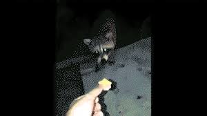Watch the full video | create gif from this video. Trash Gang Pp Gif Trash Gang Wallpapers Top Free Trash Gang Backgrounds Wallpaperaccess