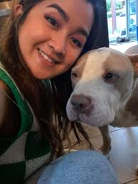 Pet Daycare in Rue Montreuil, Gatineau