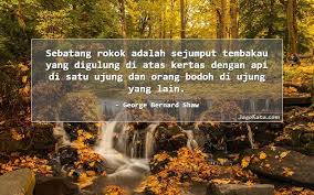 Namun sayangnya dia tidak tertarik menjadi pusat perhatian banyak orang. 18 Kata Kata Rokok Jagokata