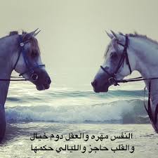 النفس مهره والعقل دوم خيال والقلب حاجز والليالي حكمها arabic funny photo quotes strong quotes