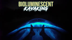 Combining an understated elegance and late night vibe, 260 first is both a party. Florida S Bioluminescent Kayaking In Clear Kayaks Bioluminescent Bay Youtube