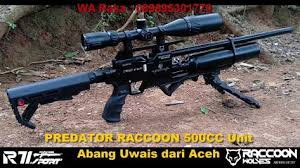Jadi secara otomatis anda akan diterima dikomunitas tersebut karena memang anda mempunyai identitas diri yang jelas. Predator Dural Raccoon Od 38