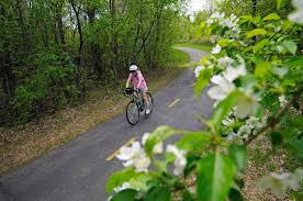 Up the ladders and down the chutes: Shoots And Ladders Playground Archives Havefunbiking Com