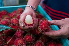 Jul 15, 2021 · appearances  super mario series  super mario world / super mario world: Eating Thai Fruit Demands Serious Effort But Delivers Sublime Reward The New York Times