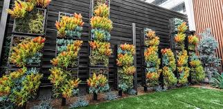 Check spelling or type a new query. Instant Jungle Wholesale And Retail Plant Nursery