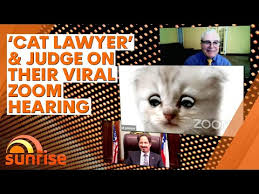 Fall 2019 has given us a change of season and a brand new meme: Zoom Cat Lawyer I M Not A Cat Video Gallery Sorted By Oldest Know Your Meme