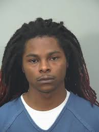 Driver jumped into Yahara River following crash, Madison police say