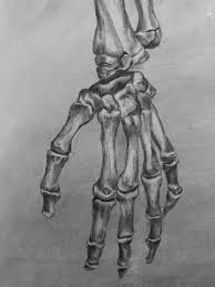 Charcoal Portrait By David W Stann Skeleton Drawings Human Bones Art Bone Drawing