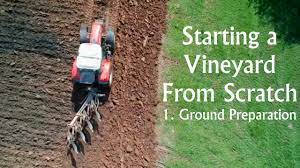Starting A Vineyard From Scratch Part 1. Ground Preparation. - Youtube