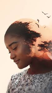 Agence Gardeners (@agencegardeners) • Instagram photos and videos