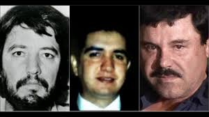 Borderland Beat: La Linea vs Gente Nueva