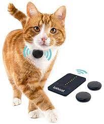 30 best gps pet trackers 2020 reviews updated guide pet tracker cat tracker pet gps