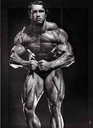 arnold schwarzenegger muscle building diet muscle