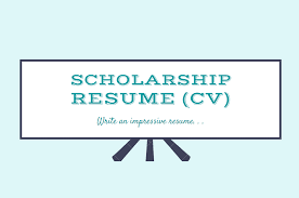 There are three cv primary format options to choose from: Cv For Scholarship Resume For Scholarship Samples Turkey Scholarships