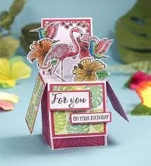 Browse our best designs for anyone you love on every. Happy Birthday Just For You Handmade Pop Up Box Card Bird Theme Paper Greeting Cards Delage Com Br