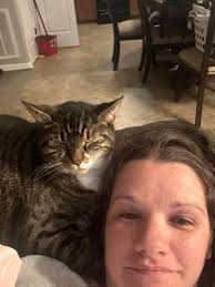 Lost Cat Tuna in Savannah, Georgia