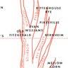 Chart The Family Tree Of Bourbon Whiskey Gentlemint