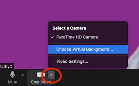 Download and use 90,000+ zoom backgrounds stock photos for free. Virtual Backgrounds For Zoom Toronto Pflag Style Toronto Pflag