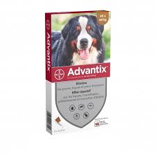 Ibata, michele bellazzini, michael j. Advantix Tres Grand Chien De 40kg Chien Advantix Pipettes Anti Puces Et Tiques Vetostore