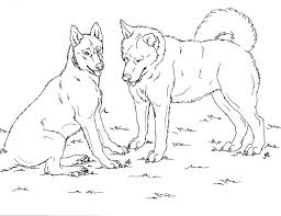 21 face coloring page collections. Husky Coloring Pages Print For Free Wonder Day