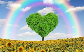 Scarica sfondi ambientale concetti, arcobaleno, girasoli, primavera,  albero, cuore, amore per il pianeta per desktop libero. Immagini sfondo del  desktop libero