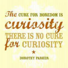 Curiosity Curiosity Quotes Boredom Quotes