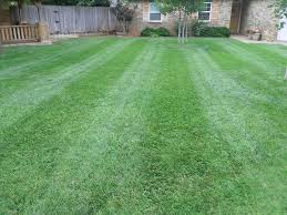 Residential & commercial lawn care service. Lawn Boy Services Amarillo Lawn And Tree Care Service