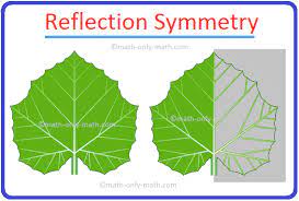 Some examples of natural symmetry are the leaf of plants and trees. Reflection Symmetry Reflection Of The Image Mirror Line Symmetrical